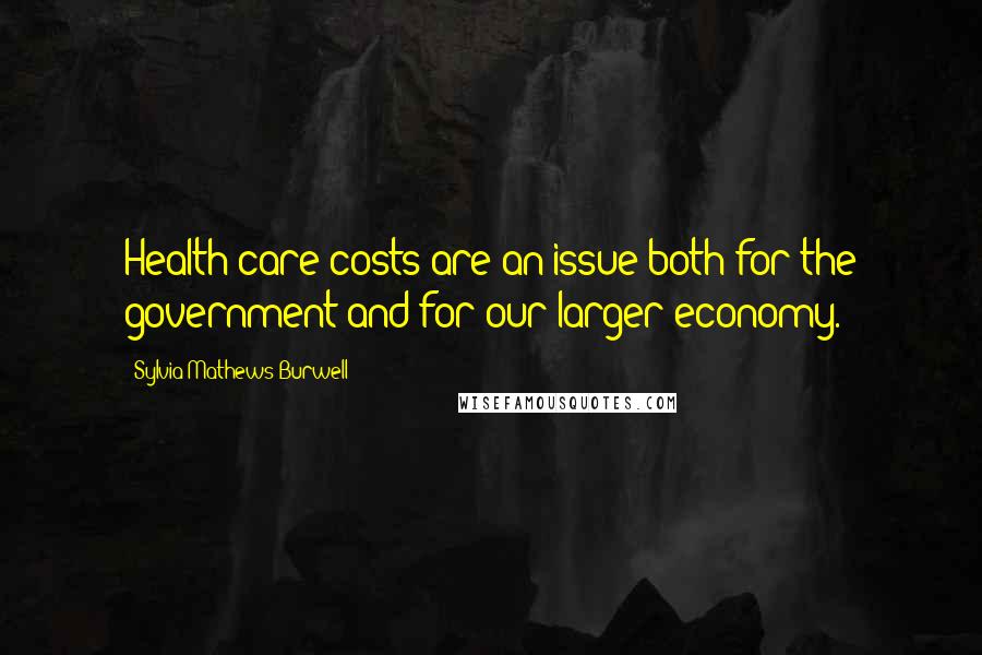 Sylvia Mathews Burwell Quotes: Health care costs are an issue both for the government and for our larger economy.