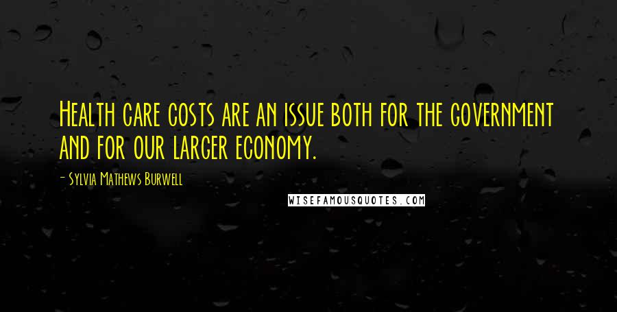 Sylvia Mathews Burwell Quotes: Health care costs are an issue both for the government and for our larger economy.