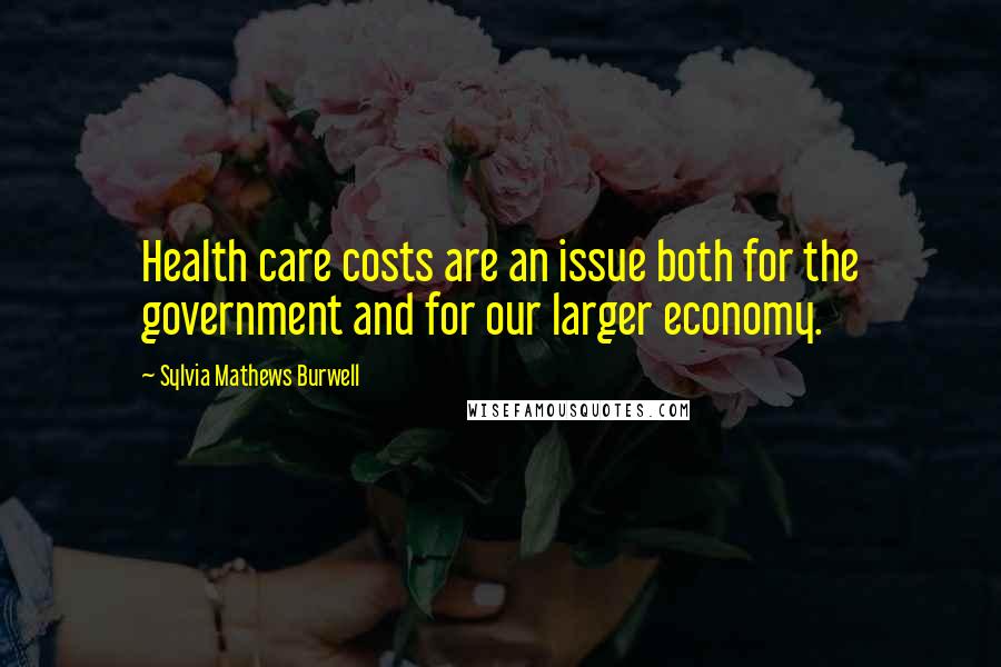Sylvia Mathews Burwell Quotes: Health care costs are an issue both for the government and for our larger economy.