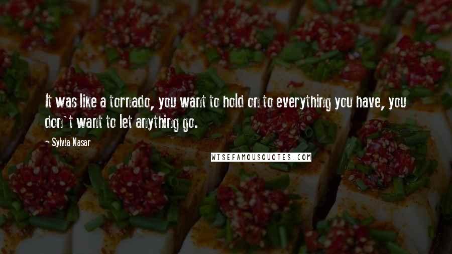 Sylvia Nasar Quotes: It was like a tornado, you want to hold on to everything you have, you don't want to let anything go.