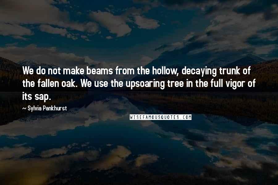 Sylvia Pankhurst Quotes: We do not make beams from the hollow, decaying trunk of the fallen oak. We use the upsoaring tree in the full vigor of its sap.