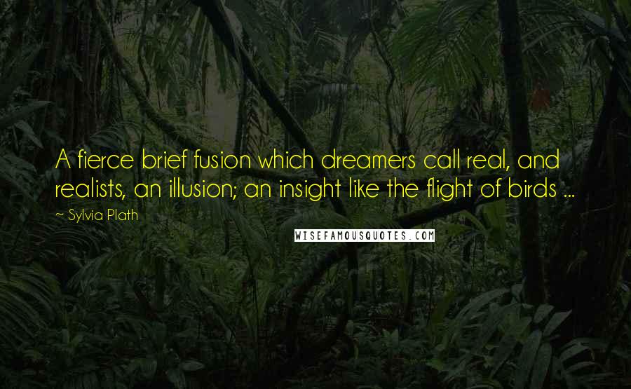 Sylvia Plath Quotes: A fierce brief fusion which dreamers call real, and realists, an illusion; an insight like the flight of birds ...