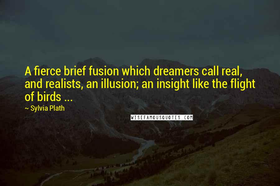 Sylvia Plath Quotes: A fierce brief fusion which dreamers call real, and realists, an illusion; an insight like the flight of birds ...