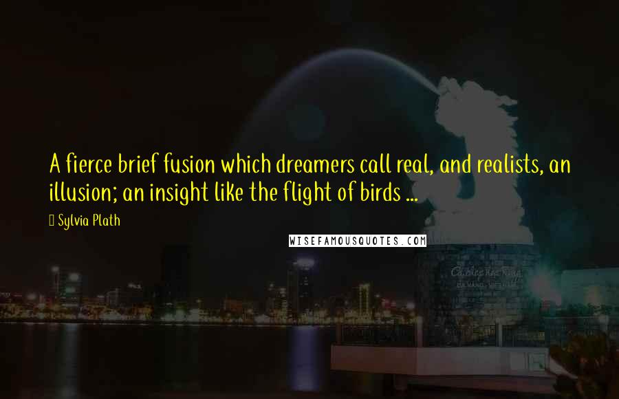 Sylvia Plath Quotes: A fierce brief fusion which dreamers call real, and realists, an illusion; an insight like the flight of birds ...