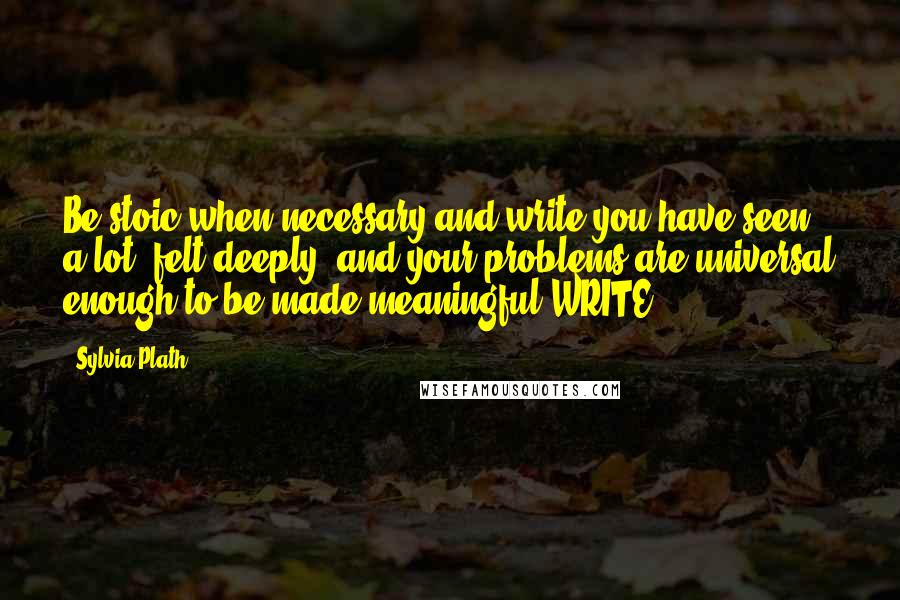 Sylvia Plath Quotes: Be stoic when necessary and write-you have seen a lot, felt deeply, and your problems are universal enough to be made meaningful-WRITE.