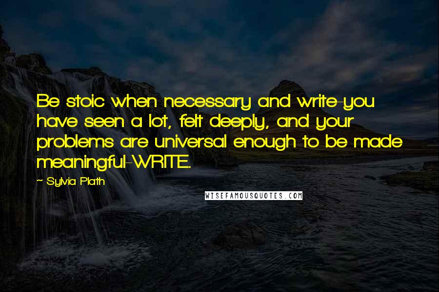 Sylvia Plath Quotes: Be stoic when necessary and write-you have seen a lot, felt deeply, and your problems are universal enough to be made meaningful-WRITE.