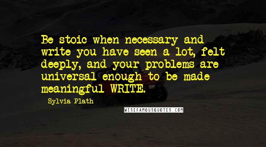 Sylvia Plath Quotes: Be stoic when necessary and write-you have seen a lot, felt deeply, and your problems are universal enough to be made meaningful-WRITE.