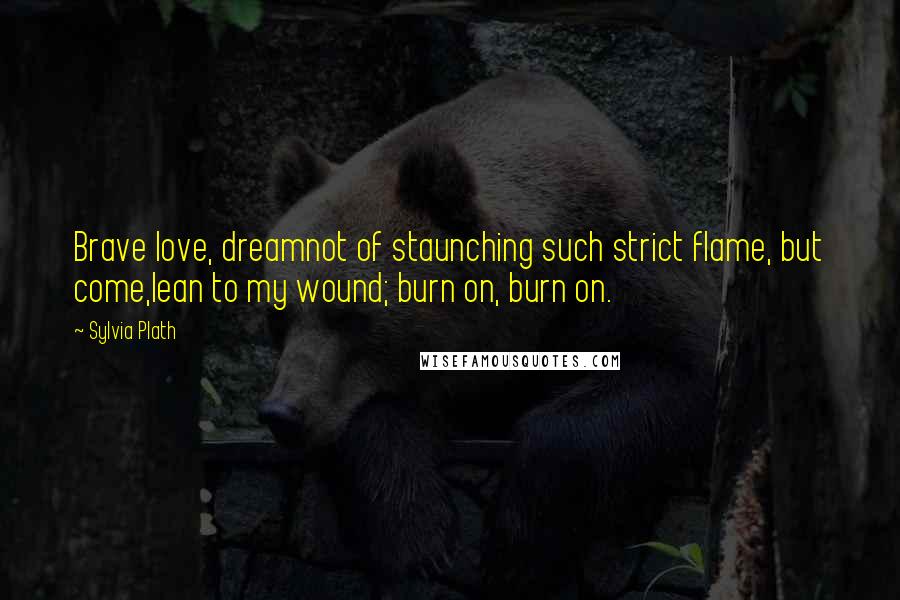 Sylvia Plath Quotes: Brave love, dreamnot of staunching such strict flame, but come,lean to my wound; burn on, burn on.