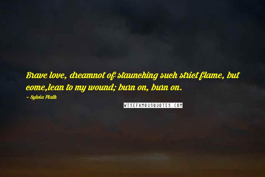 Sylvia Plath Quotes: Brave love, dreamnot of staunching such strict flame, but come,lean to my wound; burn on, burn on.