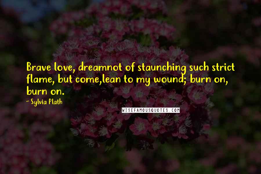 Sylvia Plath Quotes: Brave love, dreamnot of staunching such strict flame, but come,lean to my wound; burn on, burn on.