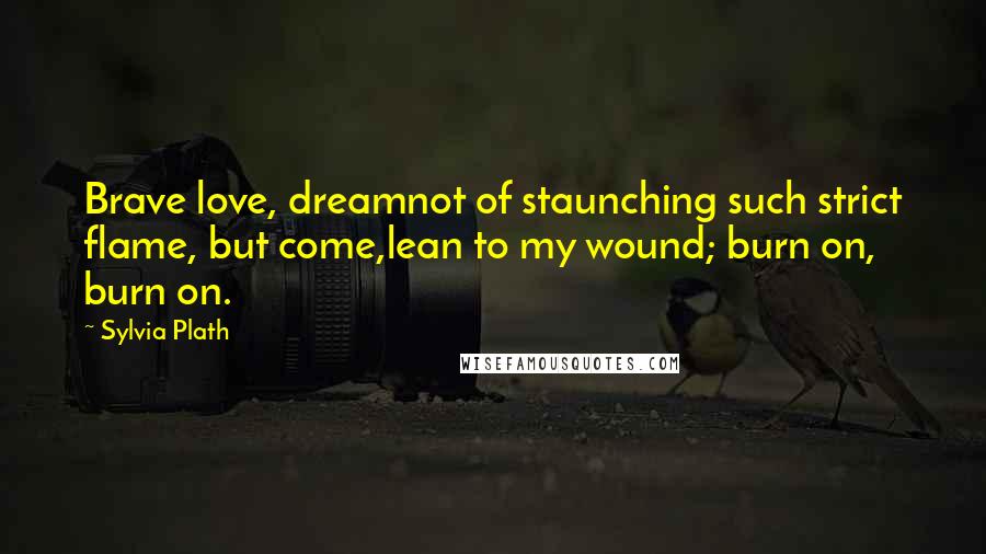 Sylvia Plath Quotes: Brave love, dreamnot of staunching such strict flame, but come,lean to my wound; burn on, burn on.