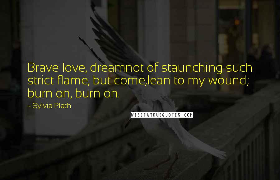 Sylvia Plath Quotes: Brave love, dreamnot of staunching such strict flame, but come,lean to my wound; burn on, burn on.