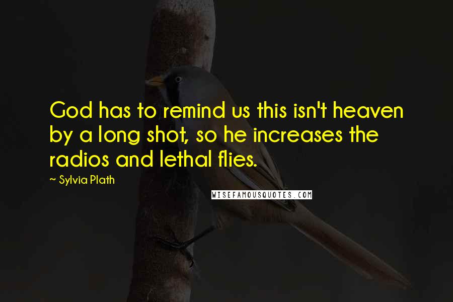 Sylvia Plath Quotes: God has to remind us this isn't heaven by a long shot, so he increases the radios and lethal flies.