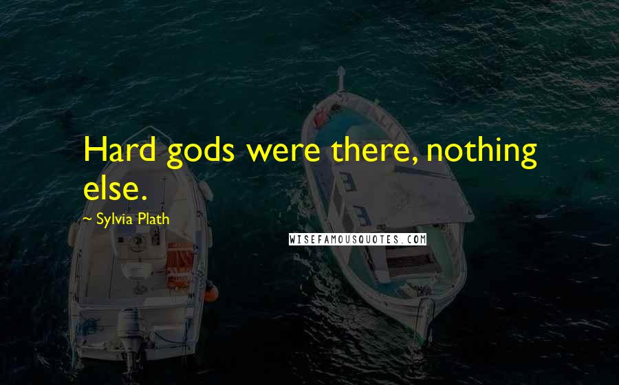 Sylvia Plath Quotes: Hard gods were there, nothing else.