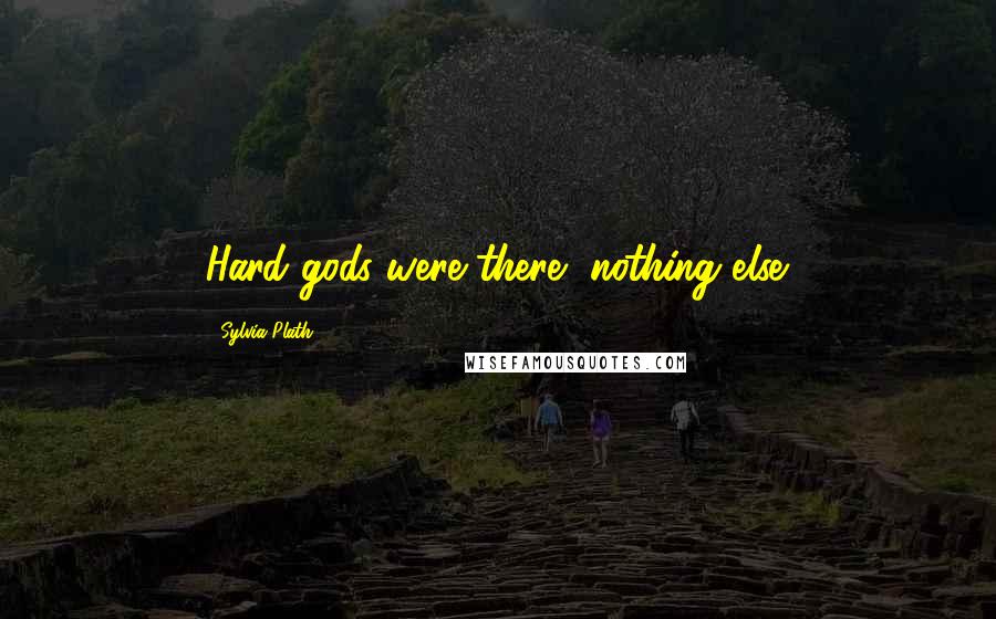 Sylvia Plath Quotes: Hard gods were there, nothing else.