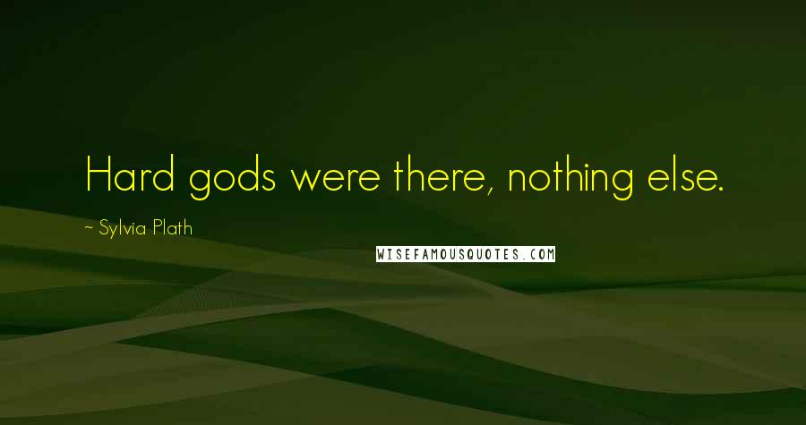 Sylvia Plath Quotes: Hard gods were there, nothing else.