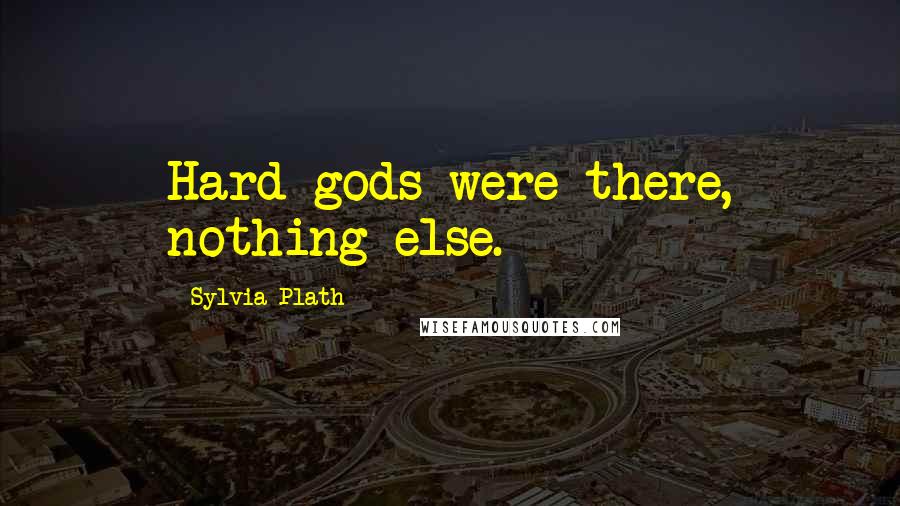 Sylvia Plath Quotes: Hard gods were there, nothing else.