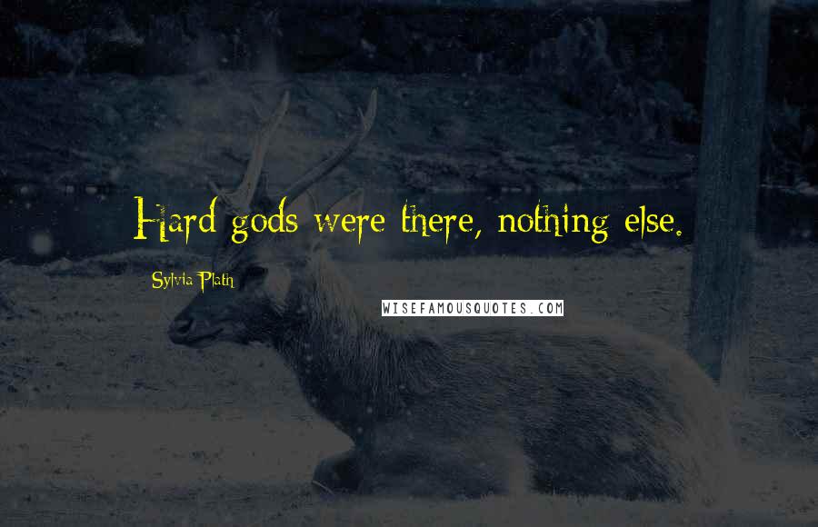 Sylvia Plath Quotes: Hard gods were there, nothing else.