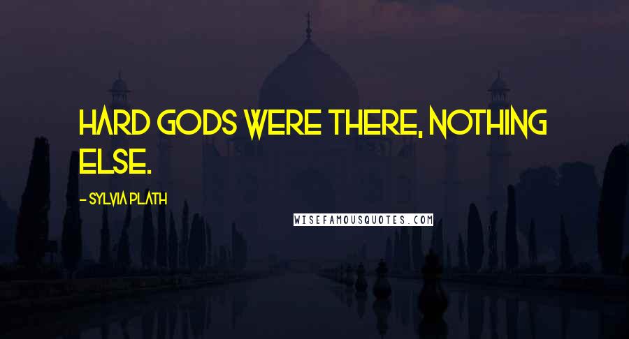 Sylvia Plath Quotes: Hard gods were there, nothing else.