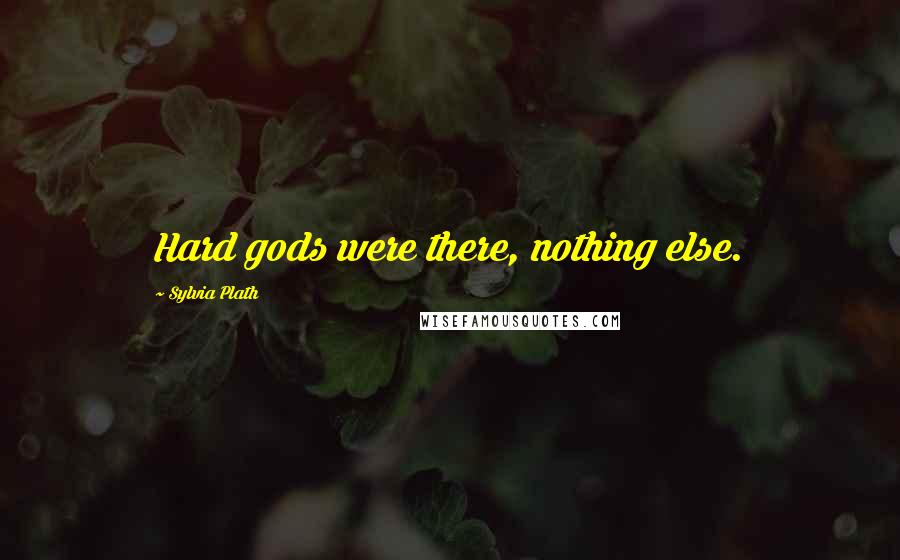 Sylvia Plath Quotes: Hard gods were there, nothing else.