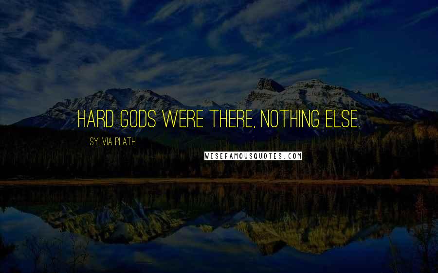 Sylvia Plath Quotes: Hard gods were there, nothing else.