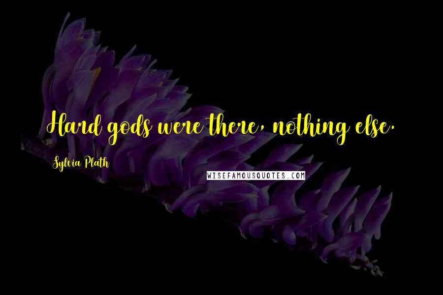 Sylvia Plath Quotes: Hard gods were there, nothing else.