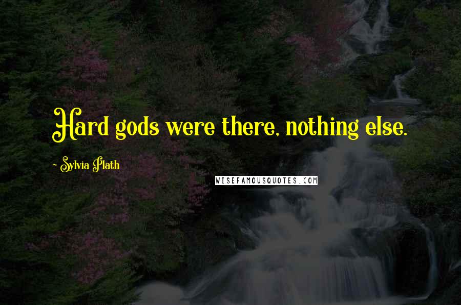 Sylvia Plath Quotes: Hard gods were there, nothing else.