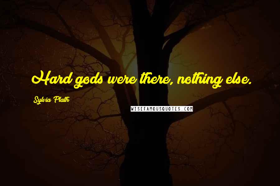 Sylvia Plath Quotes: Hard gods were there, nothing else.