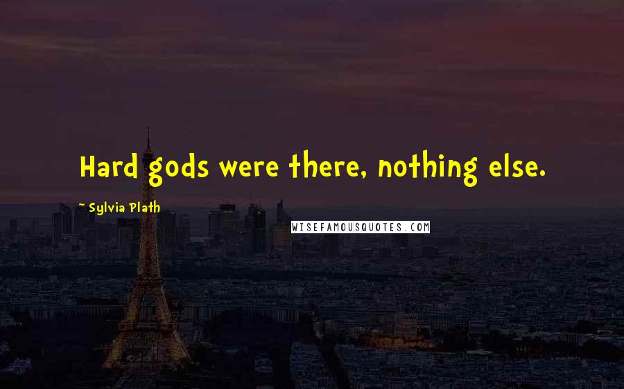 Sylvia Plath Quotes: Hard gods were there, nothing else.