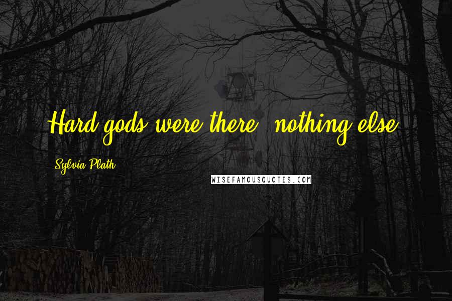 Sylvia Plath Quotes: Hard gods were there, nothing else.