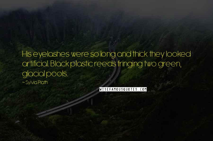 Sylvia Plath Quotes: His eyelashes were so long and thick they looked artificial. Black plastic reeds fringing two green, glacial pools.