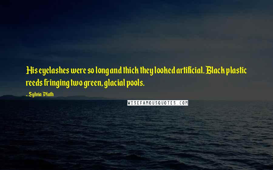 Sylvia Plath Quotes: His eyelashes were so long and thick they looked artificial. Black plastic reeds fringing two green, glacial pools.