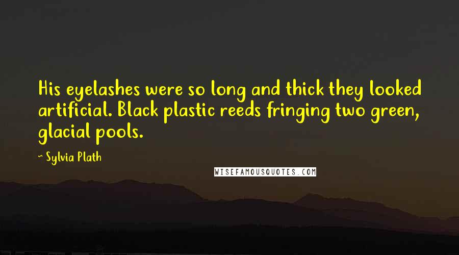Sylvia Plath Quotes: His eyelashes were so long and thick they looked artificial. Black plastic reeds fringing two green, glacial pools.