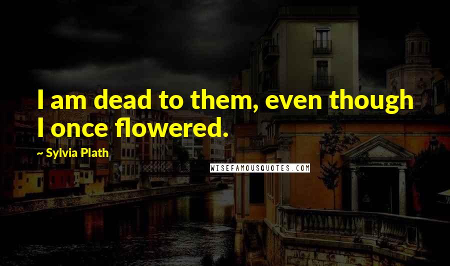 Sylvia Plath Quotes: I am dead to them, even though I once flowered.