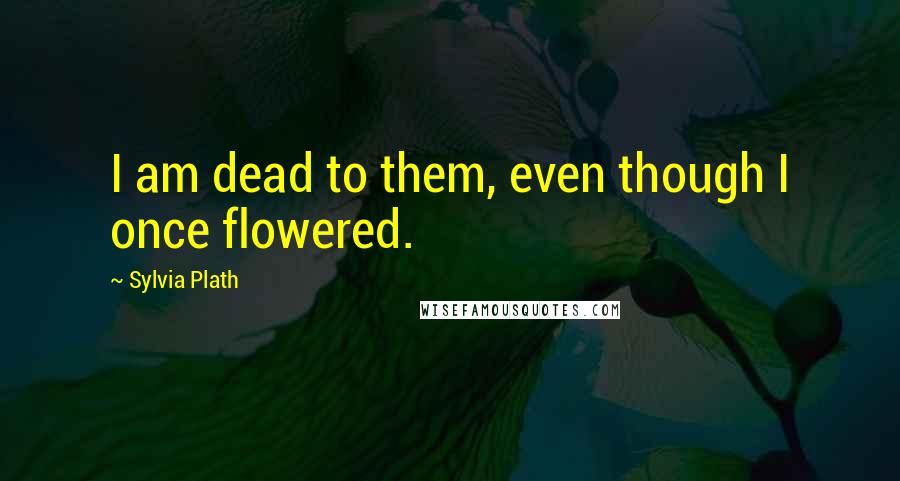 Sylvia Plath Quotes: I am dead to them, even though I once flowered.