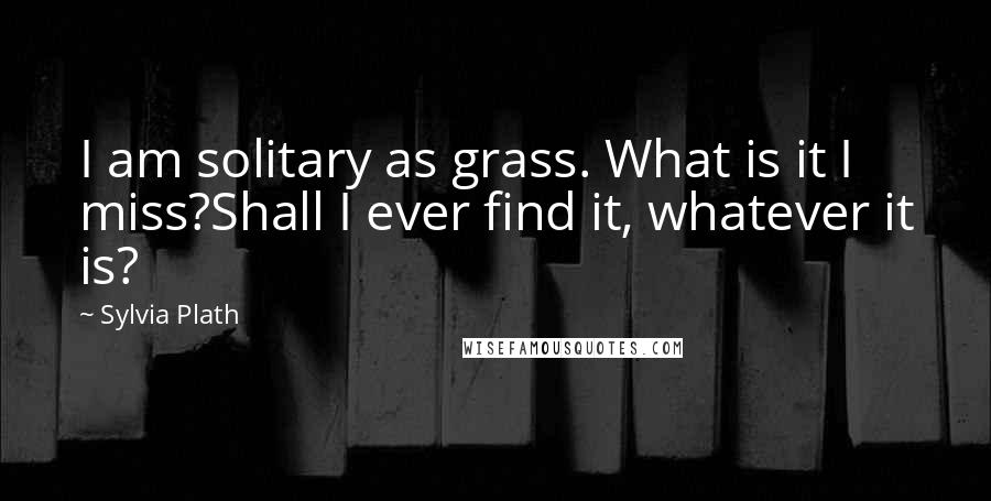 Sylvia Plath Quotes: I am solitary as grass. What is it I miss?Shall I ever find it, whatever it is?