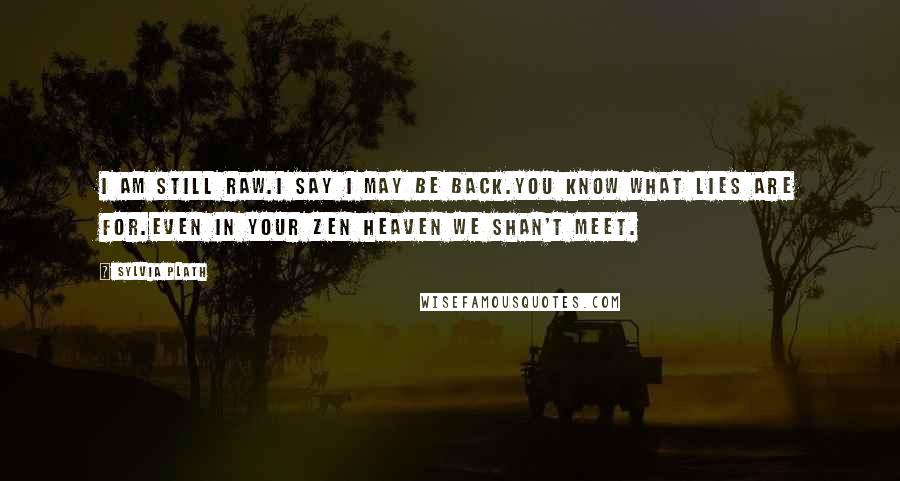 Sylvia Plath Quotes: I am still raw.I say I may be back.You know what lies are for.Even in your Zen heaven we shan't meet.