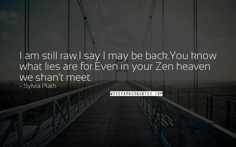 Sylvia Plath Quotes: I am still raw.I say I may be back.You know what lies are for.Even in your Zen heaven we shan't meet.