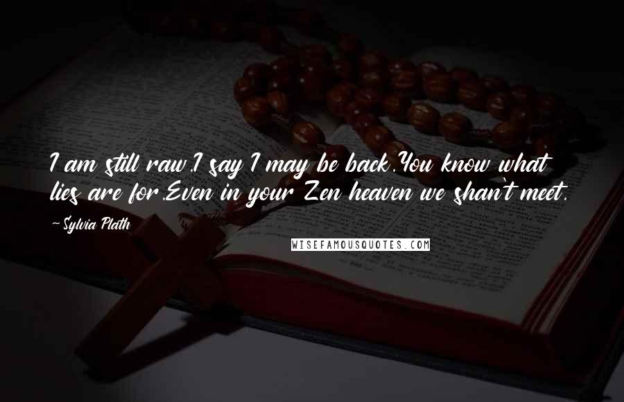 Sylvia Plath Quotes: I am still raw.I say I may be back.You know what lies are for.Even in your Zen heaven we shan't meet.