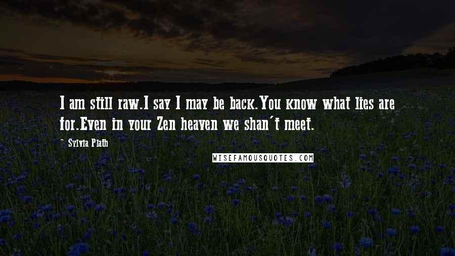 Sylvia Plath Quotes: I am still raw.I say I may be back.You know what lies are for.Even in your Zen heaven we shan't meet.
