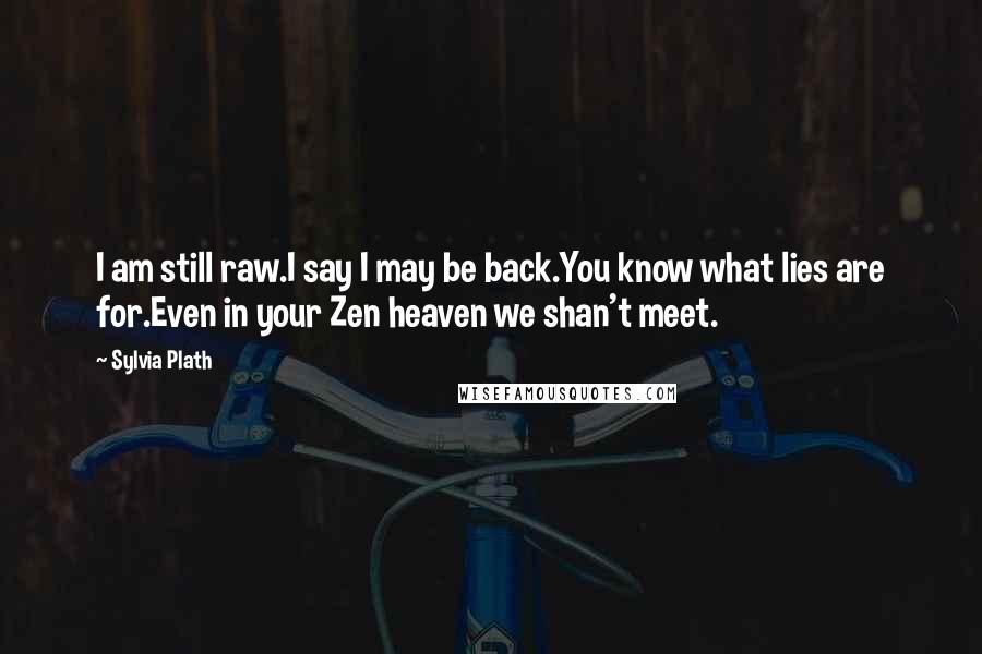 Sylvia Plath Quotes: I am still raw.I say I may be back.You know what lies are for.Even in your Zen heaven we shan't meet.