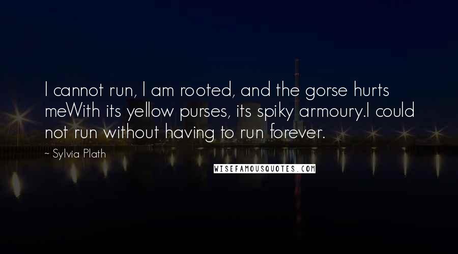 Sylvia Plath Quotes: I cannot run, I am rooted, and the gorse hurts meWith its yellow purses, its spiky armoury.I could not run without having to run forever.