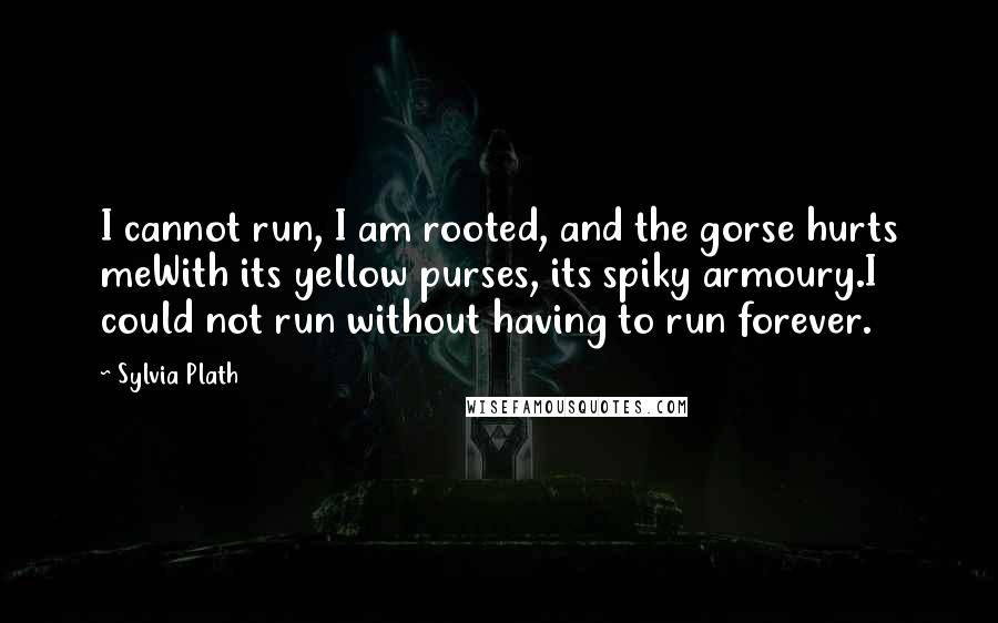 Sylvia Plath Quotes: I cannot run, I am rooted, and the gorse hurts meWith its yellow purses, its spiky armoury.I could not run without having to run forever.