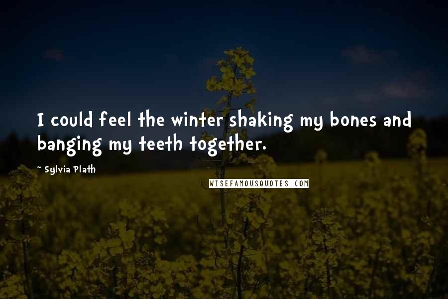 Sylvia Plath Quotes: I could feel the winter shaking my bones and banging my teeth together.