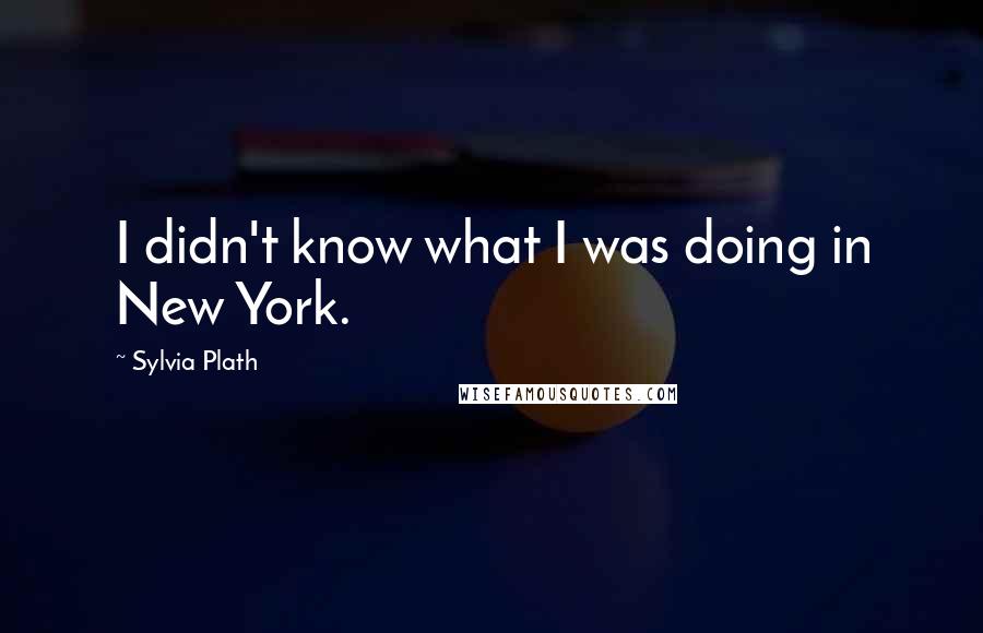 Sylvia Plath Quotes: I didn't know what I was doing in New York.