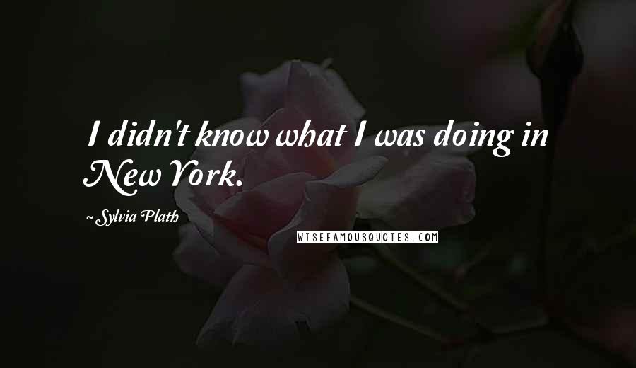 Sylvia Plath Quotes: I didn't know what I was doing in New York.