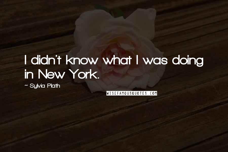 Sylvia Plath Quotes: I didn't know what I was doing in New York.