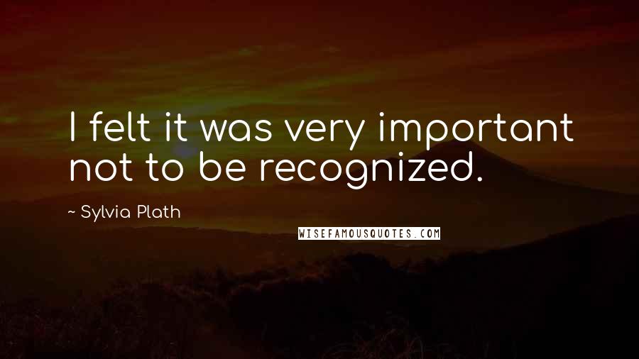 Sylvia Plath Quotes: I felt it was very important not to be recognized.