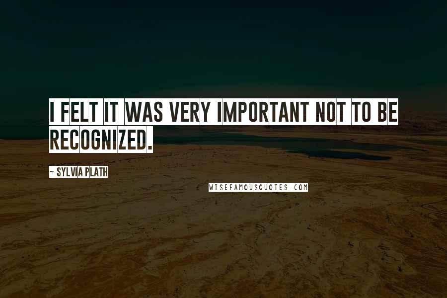 Sylvia Plath Quotes: I felt it was very important not to be recognized.