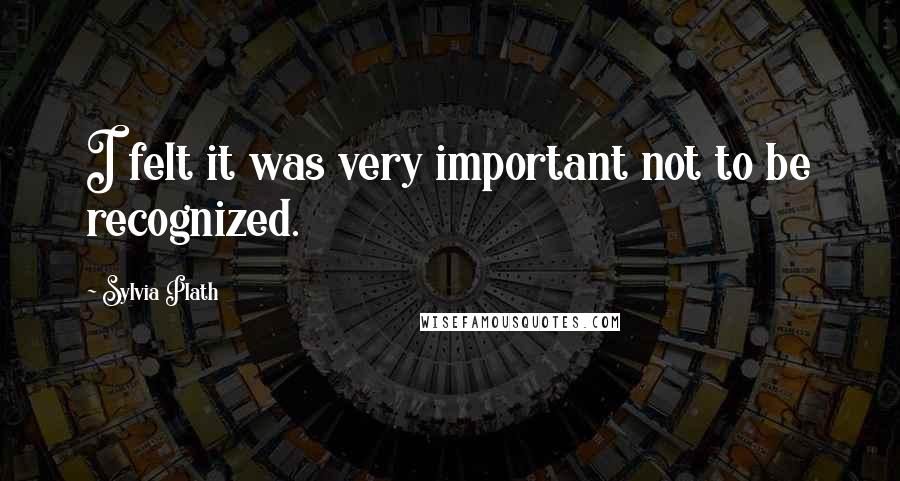 Sylvia Plath Quotes: I felt it was very important not to be recognized.